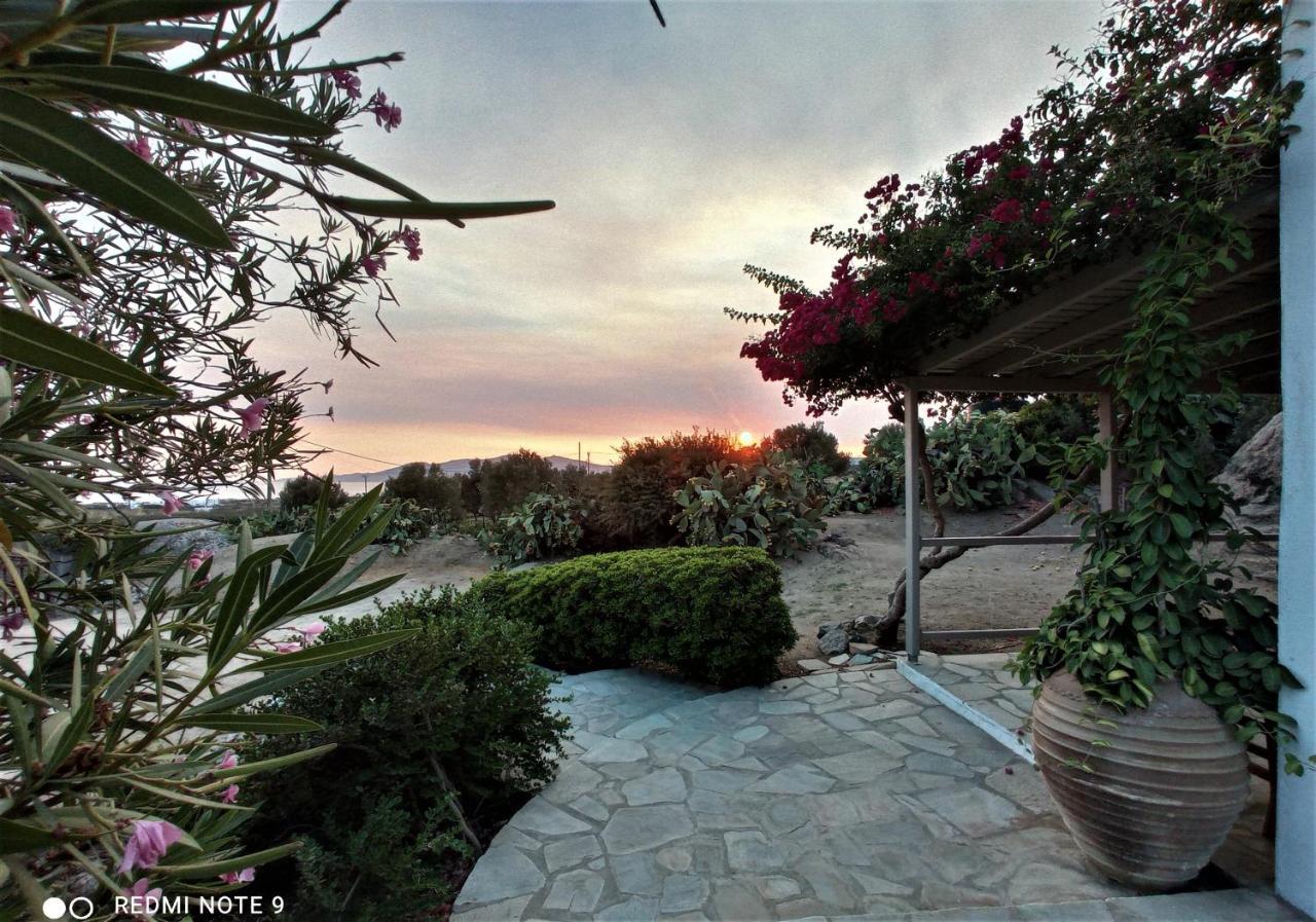 Sunny House With Amazing View For 4+2 Persons Villa Pláka Eksteriør billede